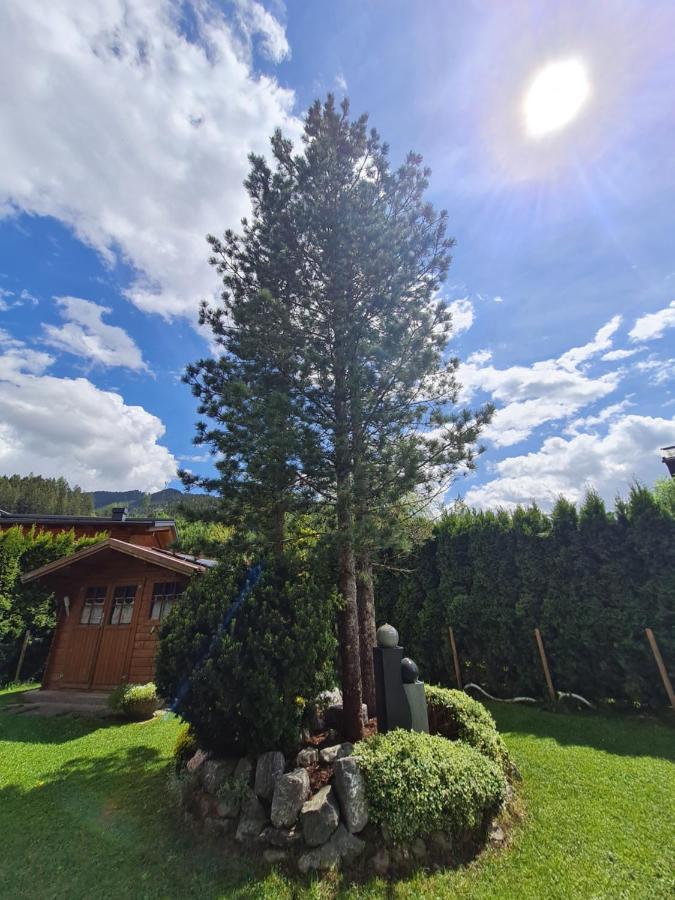 Gaestehaus Gamsblick Верфенвенг Екстериор снимка